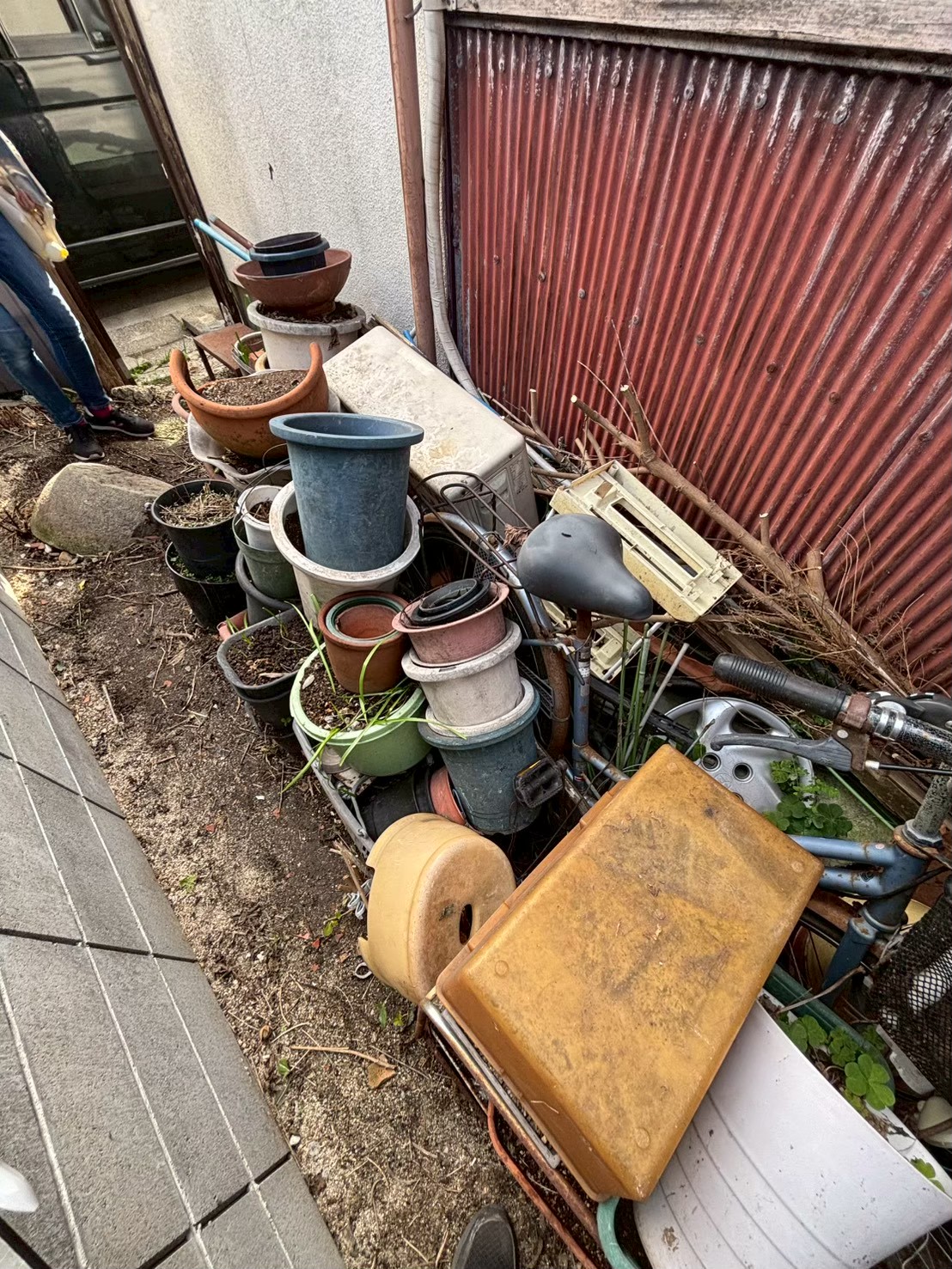 木の伐採、遺品整理　名古屋瑞穂区・作業前