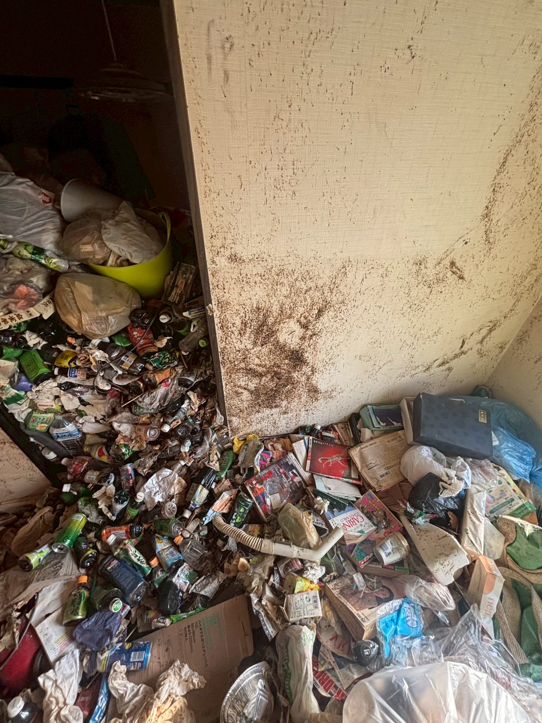 愛知県東海市　ゴミ屋敷・作業前