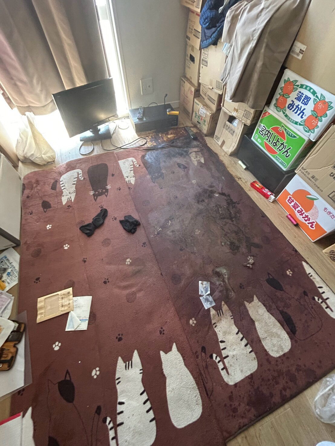 特殊清掃　愛知県西尾市・作業前