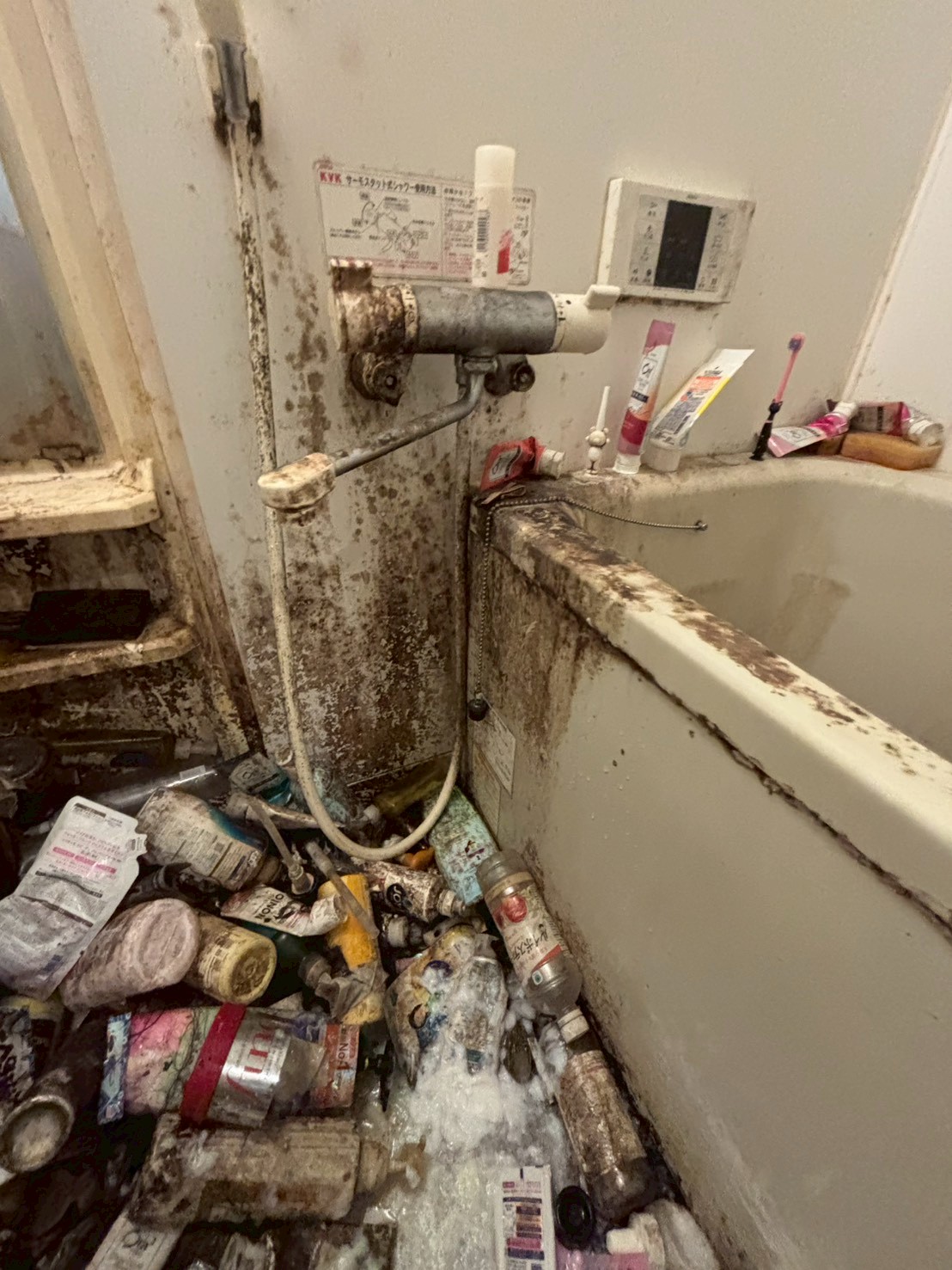 愛知県碧南市　ゴミ屋敷・作業前