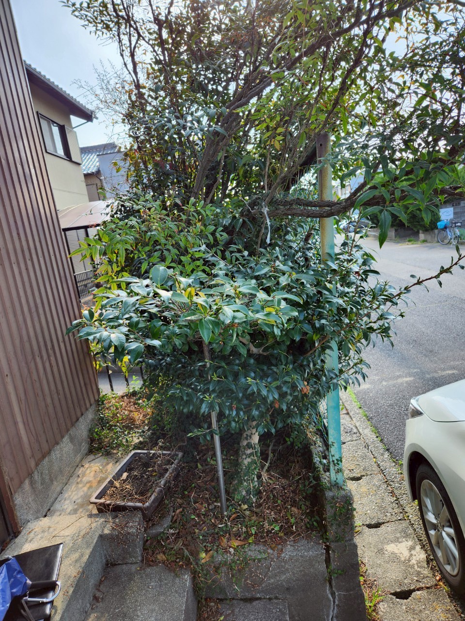 岐阜県羽島市空き家片付け・作業前